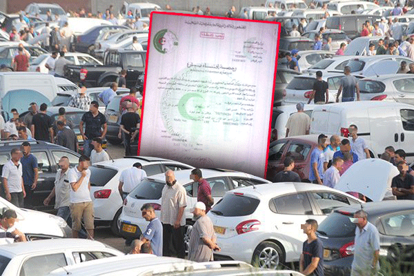 هذه الفئة المستفيدة من وقف استيراد السيارات