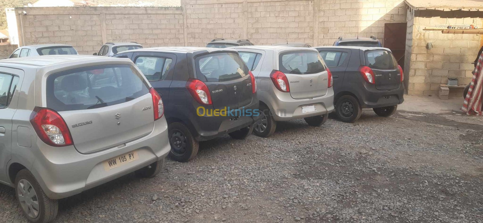 دخول شحنة من سيارات سوزوكي ألتو 800 بهذه الأسعار
