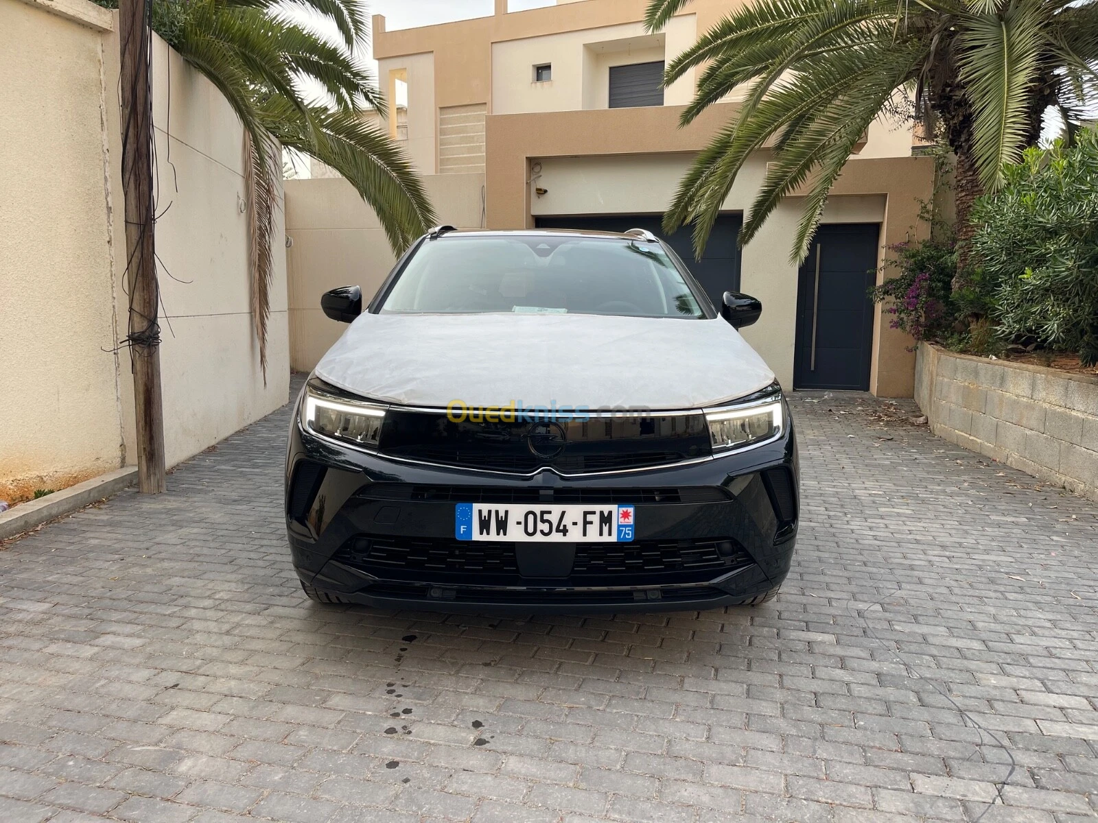 تسليم فوري لأوبل جراند لاند 2025 بهذا السعر