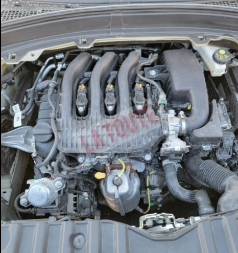 تسريب جديد بخصوص فيات غراندي باندا الجزائرية